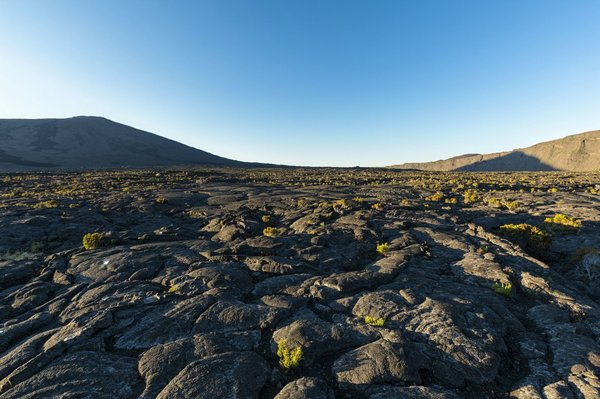How to Develop a Safe and Stimulating Outdoor Play Area for a Pet Rabbit?