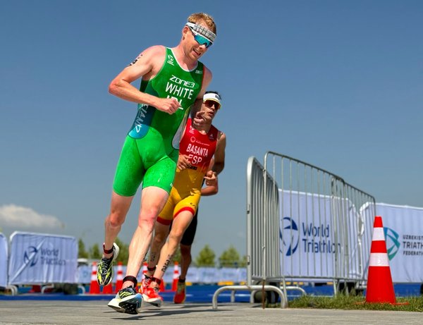 What's the role of peer support in the mental health of professional athletes?