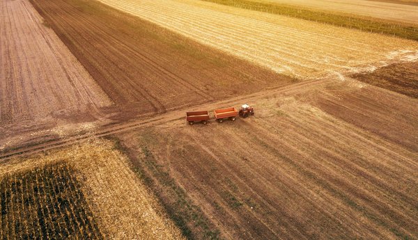 How is AI transforming the field of precision agriculture?
